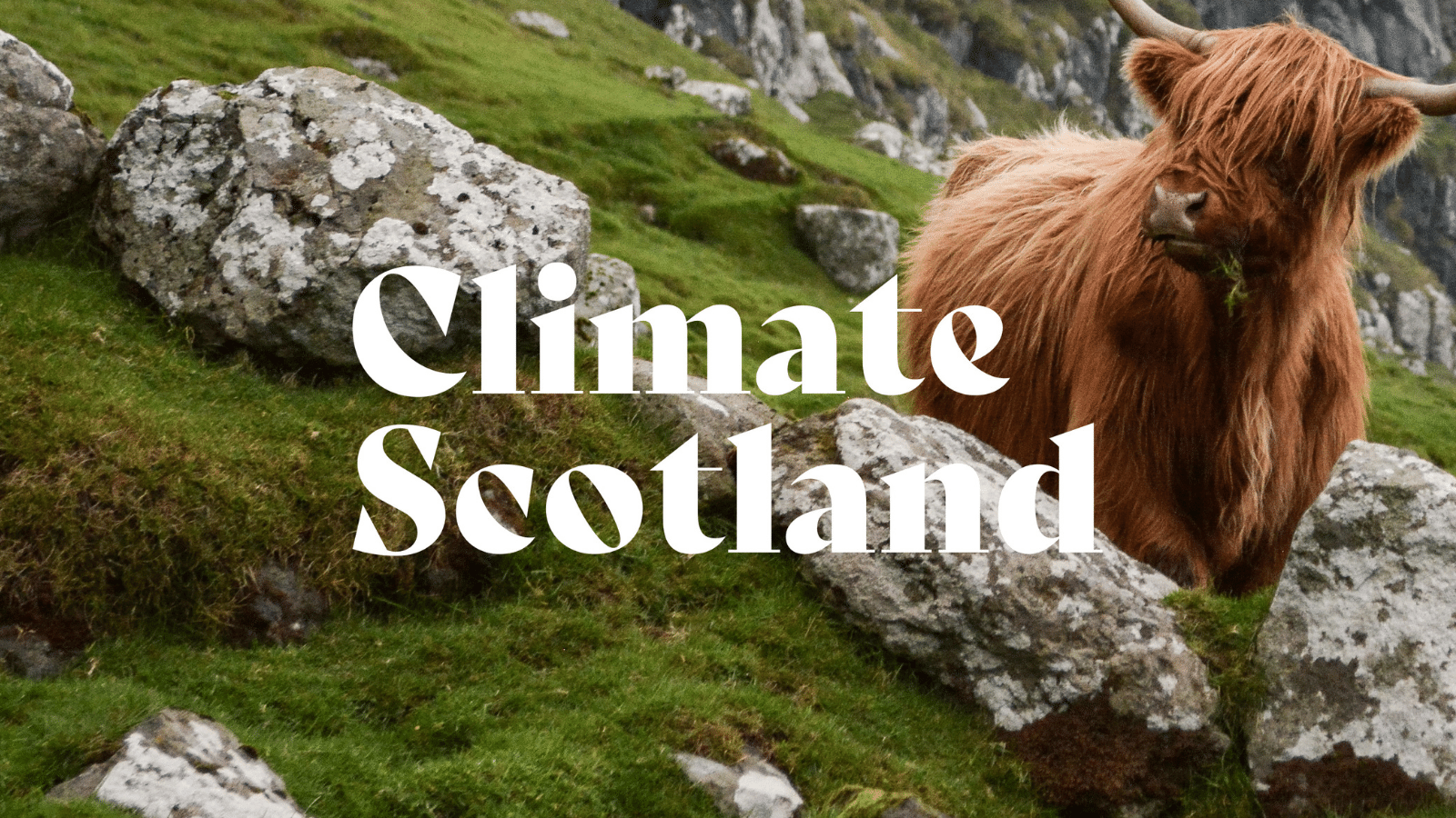 press-release-climate-scotland-stop-climate-chaos-scotland